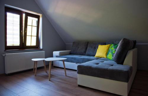 Apartamenty Buczyna w Sierakowie - Foto 60