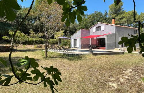 Le Domaine de Jaïba - Foto 54