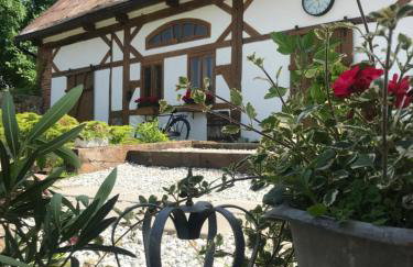 Apartamenty Sudeckie nad zalewem I - Foto 41