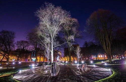 Large 2 Bedroom City Centre Apartment + Parking - Photo 14