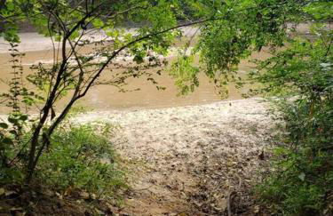 Cozy 2b 2b Spa 2 Steam Saunas Home Theater Gym - Foto 25