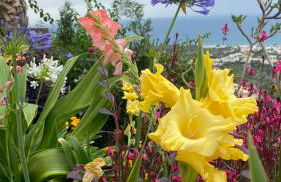 La Paratá Suites Mojácar - Foto 53