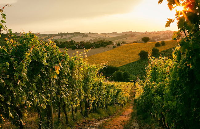 Sanders Arsorama - Sweet 1-bdr Apt w/ Shared Patio - Foto 27