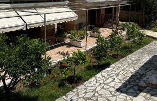 Dionysus Sivota Center - Foto 7