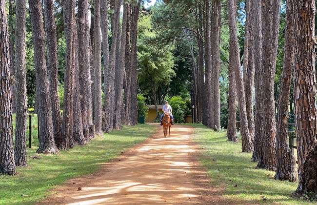 Buganville Villas - Foto 52