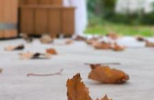 Holiday Home Forest INN - Foto 31