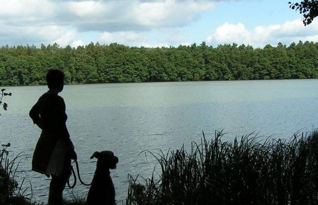 Cozy Holiday Home in Kappe With Balcony - Foto 30