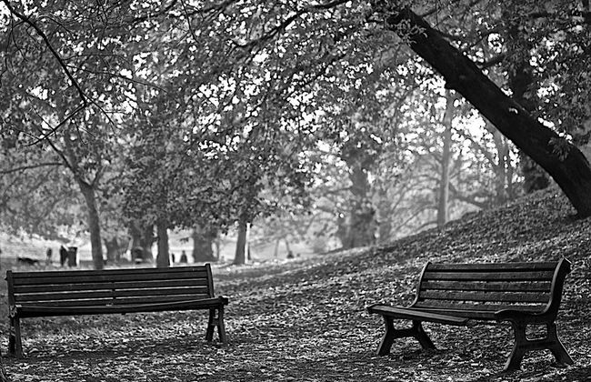 Il tuo tour fotografico e workshop su misura a Roma - Foto 13