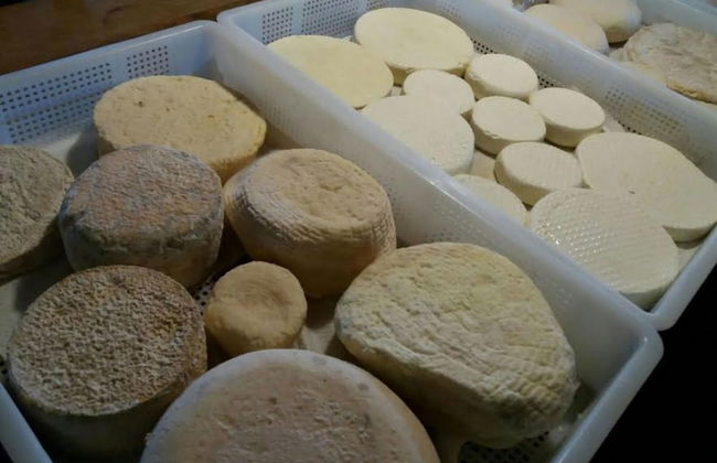 Agriturismo di Charme e Ristorante Stallato Il Filo di Paglia - Photo 86