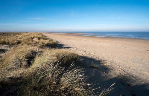 Olive Quay Cottage - Rustic elegance, big country garden Norfolk coast - Foto 26
