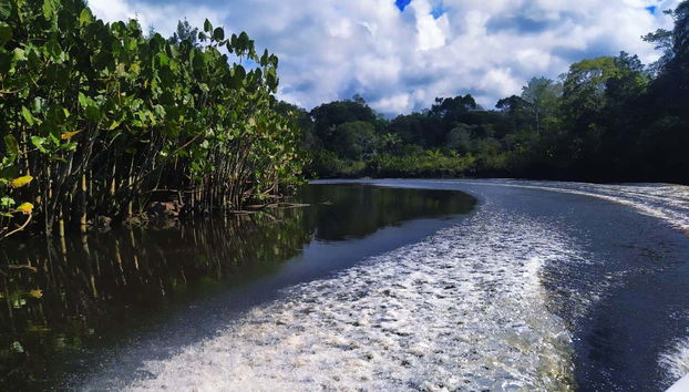 Canaux du fleuve João de Tiba