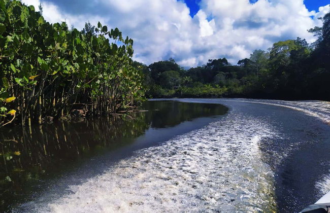 João de Tiba River Boat Trip - Foto 6