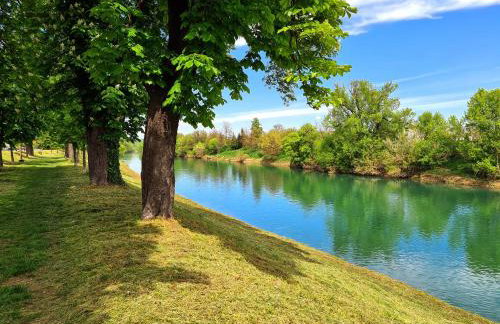 Happy Sparrow - Foto 50