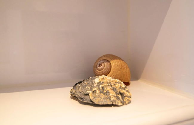 Holiday Home in Medemblik With Garden - Foto 21