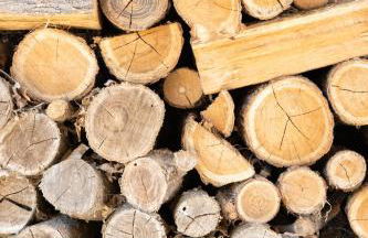 Casa Il Nocciolo - Foto 53