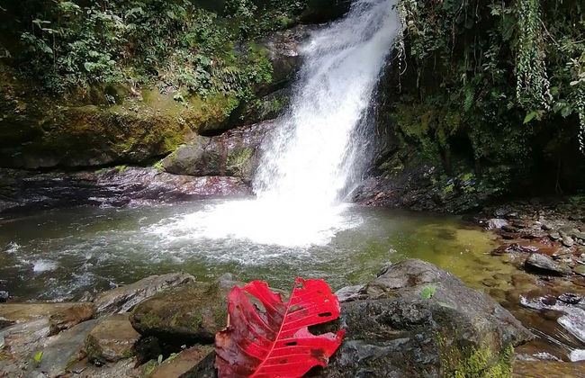 Trekking alla cascata di La Plata - Foto 6
