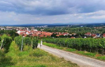 Ferienwohnung Fackelmann - Foto 21