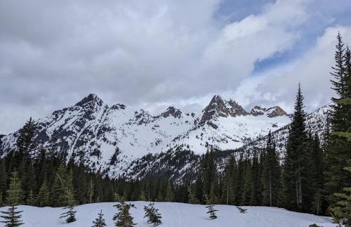 An Unexpected Twisp - Foto 12