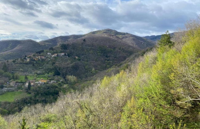 Serene Farmhouse in Dicomano With Swimming Pool - Photo 56