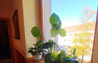 Ferienwohnung ANTIK - Foto 34