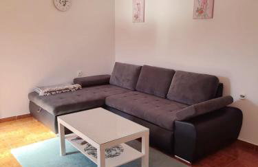 APARTMAN MAJSTOROVIĆ - Photo 9