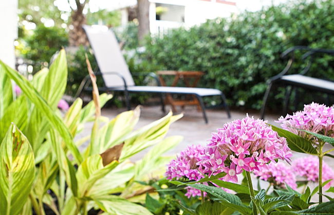 DeSoto Beach Gardens - Foto 1