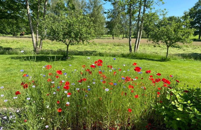 Wellness Lodge in Dutch Meadows With Hot Tub - Photo 40