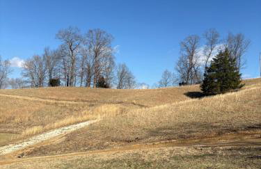 Newly Listed-Private 25-Acre Escape Near Red River Gorge - Foto 130