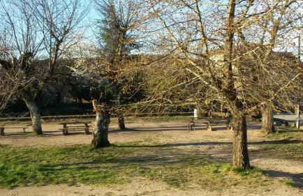 La Manchote - Foto 23