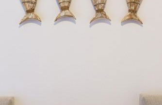 Archipelagotinos - Foto 50