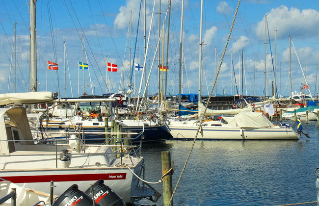 "Cedomir" - 625m from the sea - Foto 3