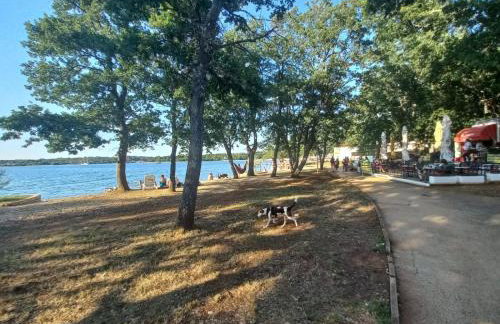 MaticResort - Foto 11