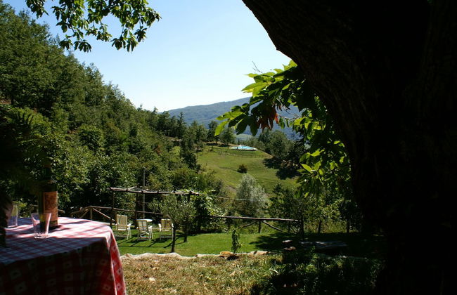 Agriturismo il Gufo - Photo 36