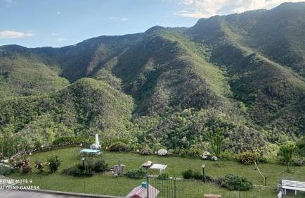 VERDEMARE Rialto - Foto 30