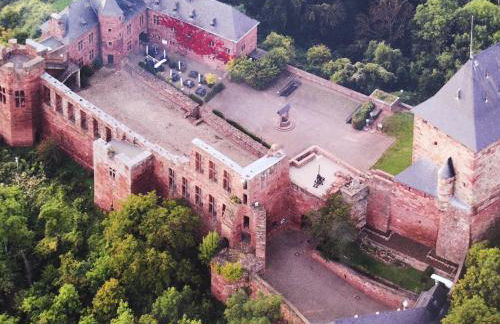 Ferienwohnung in Waldrandlage in Nationalpark Schleiden / Eifel - Foto 58