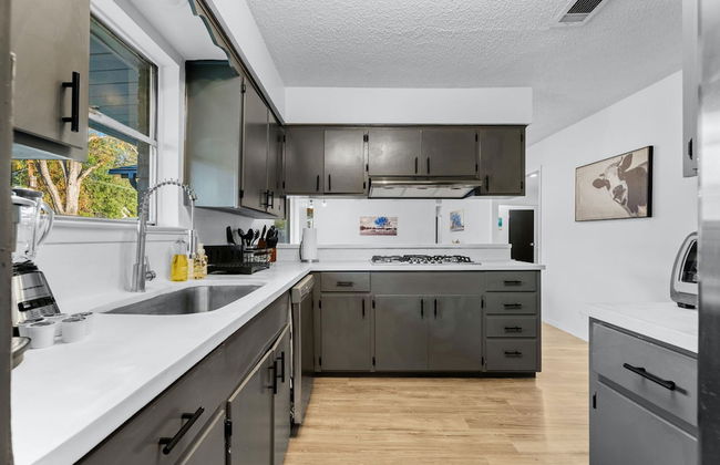 Quiet 3 Bedroom Home Walkable to Zilker Park - Photo 11