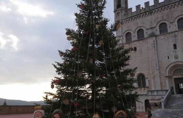 Domus Calzolari - Foto 51