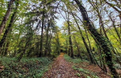 2 Bedroom Cozy Home In Eyraud-Crempse-Maurens - Foto 19