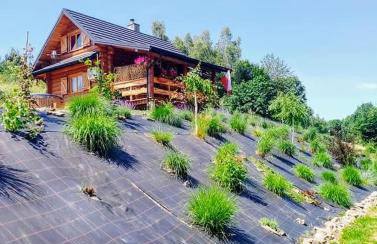 Siedlisko Sielska Dolina Nad Stawem luksusowy domek całoroczny z klimatyzacją - Foto 23