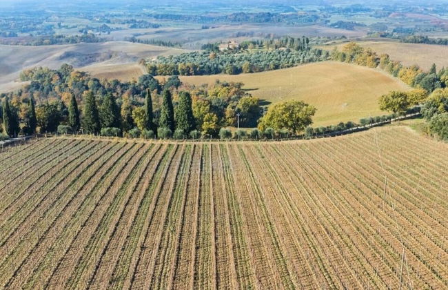 Villa Colombini Comfortable Holiday Residence - Foto 30