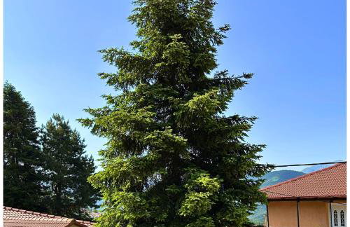 Memories Apartments Μονοκατοικία στο Καρπενήσι - Foto 34