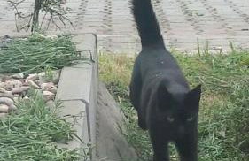 Agroturystyka Zaborski Sad - Foto 42