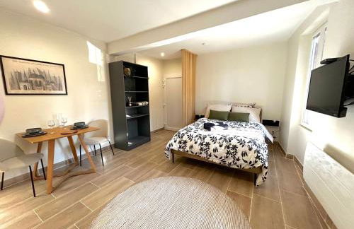 Studio proche Cancéropôle et Univ Jean Jaurès - Foto 4