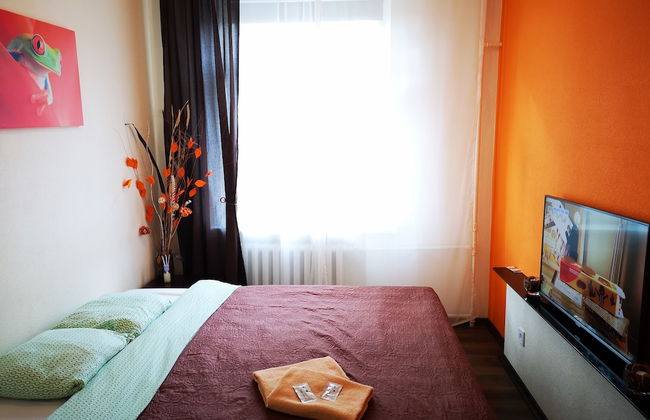 Orange Studio - Photo 44