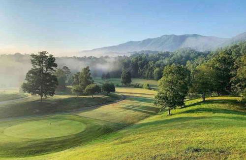 Cozy Cabin Smoky Mountains - Hot tub, pool, & golf - Foto 8