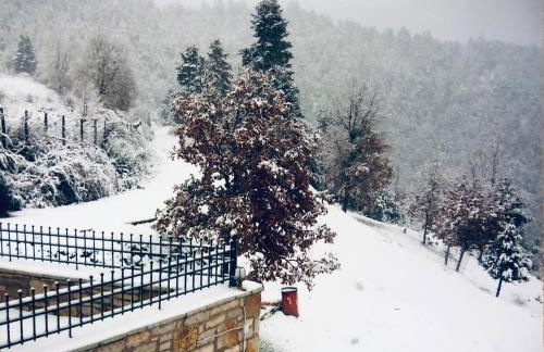 Petrini Villa - Foto 47