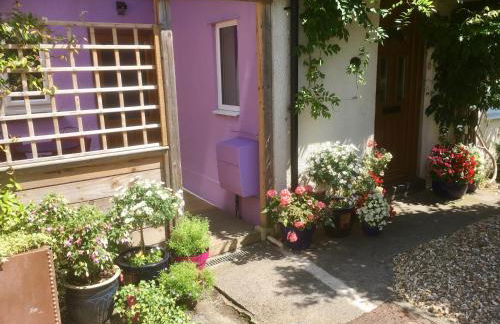 Cute self-contained guest room with ensuite and private decked porch in Glastonbury - Photo 3