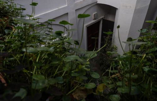 In pieno centro storico Ca Marì e Casa Elena - Foto 11