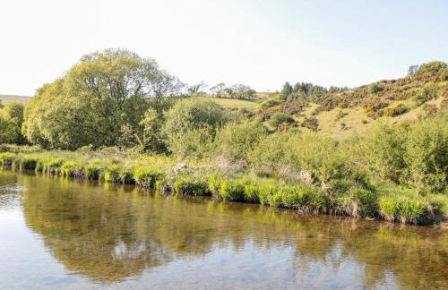 The Old Thatch - Foto 33