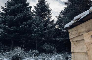 The Farmhouse - Photo 6